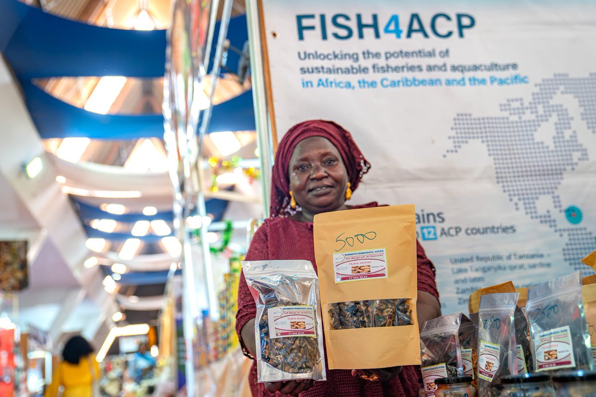 FAO au Sénégal tweet media