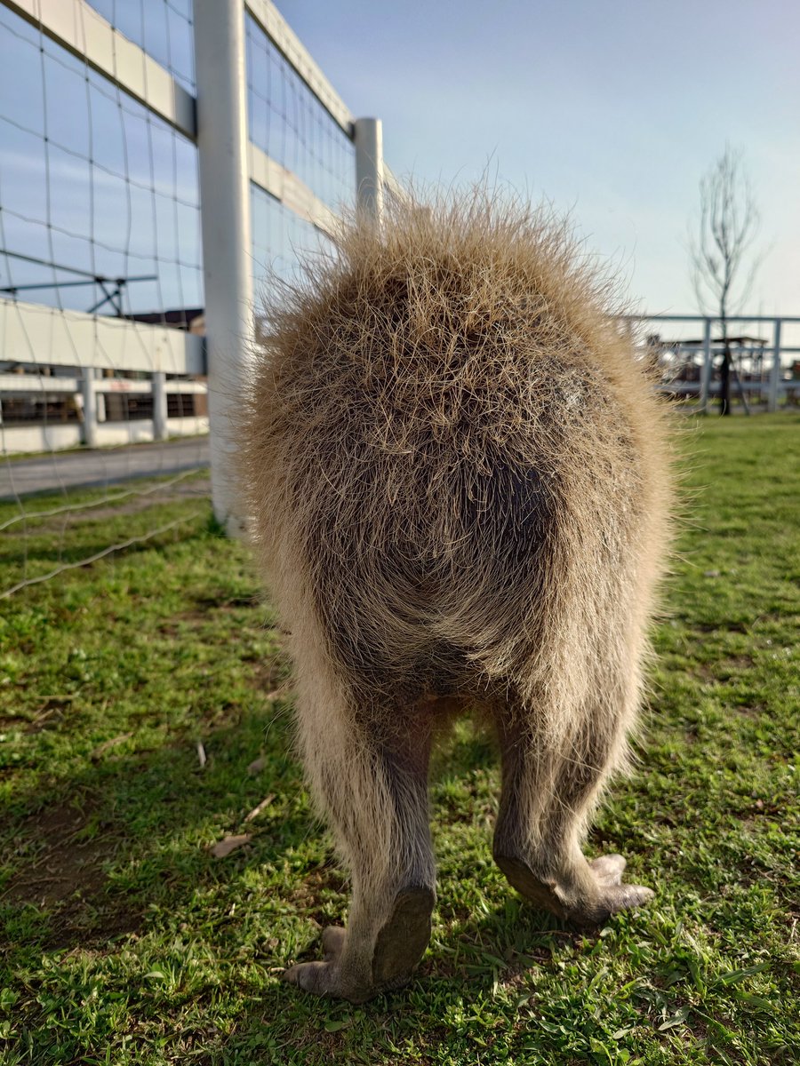 日曜日は休みたい tweet media