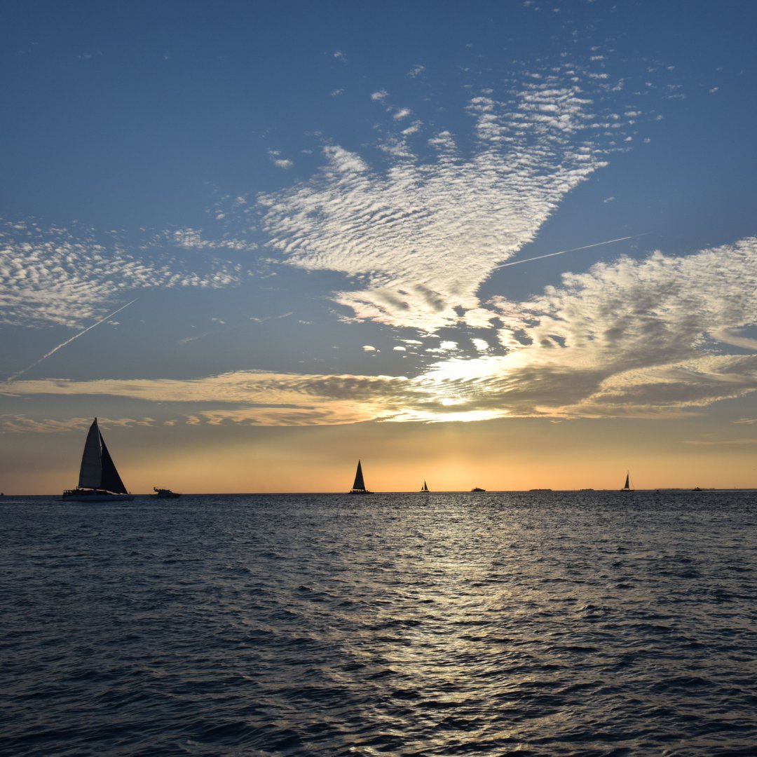 PartyInKeyWest's tweet image. Good morning from the horizon. #keywest #sunrise #seeninkeywest

More: PartyinKeyWest.com/wp/
Follow us: @PartyInKeyWest
Hashtag us: #PartyInKeyWest