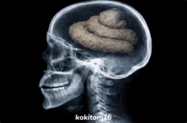 MaguinDoRainbow 🐦‍🔥 tweet media