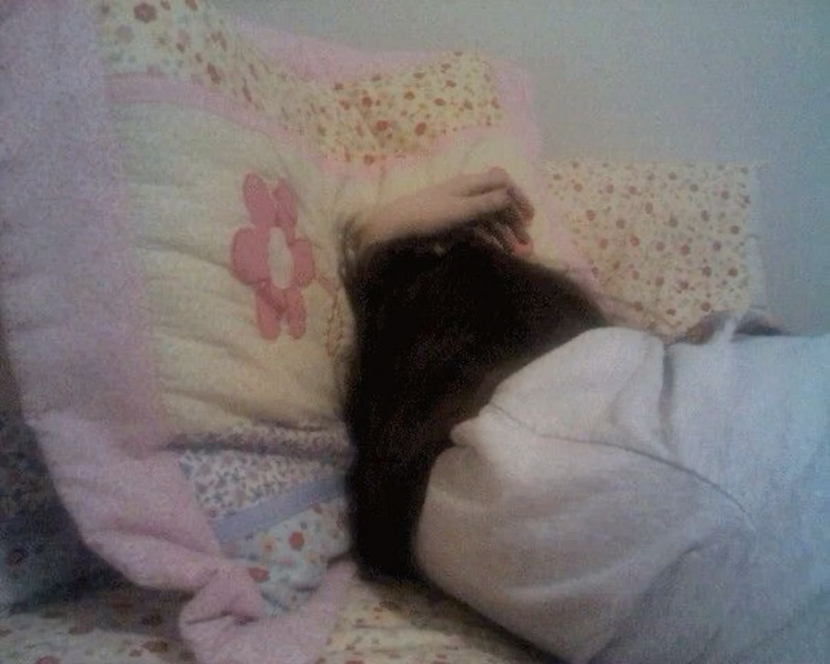 ⁺‧₊˚ ཐི⋆arlene⋆ཋྀ ˚₊‧⁺ tweet media