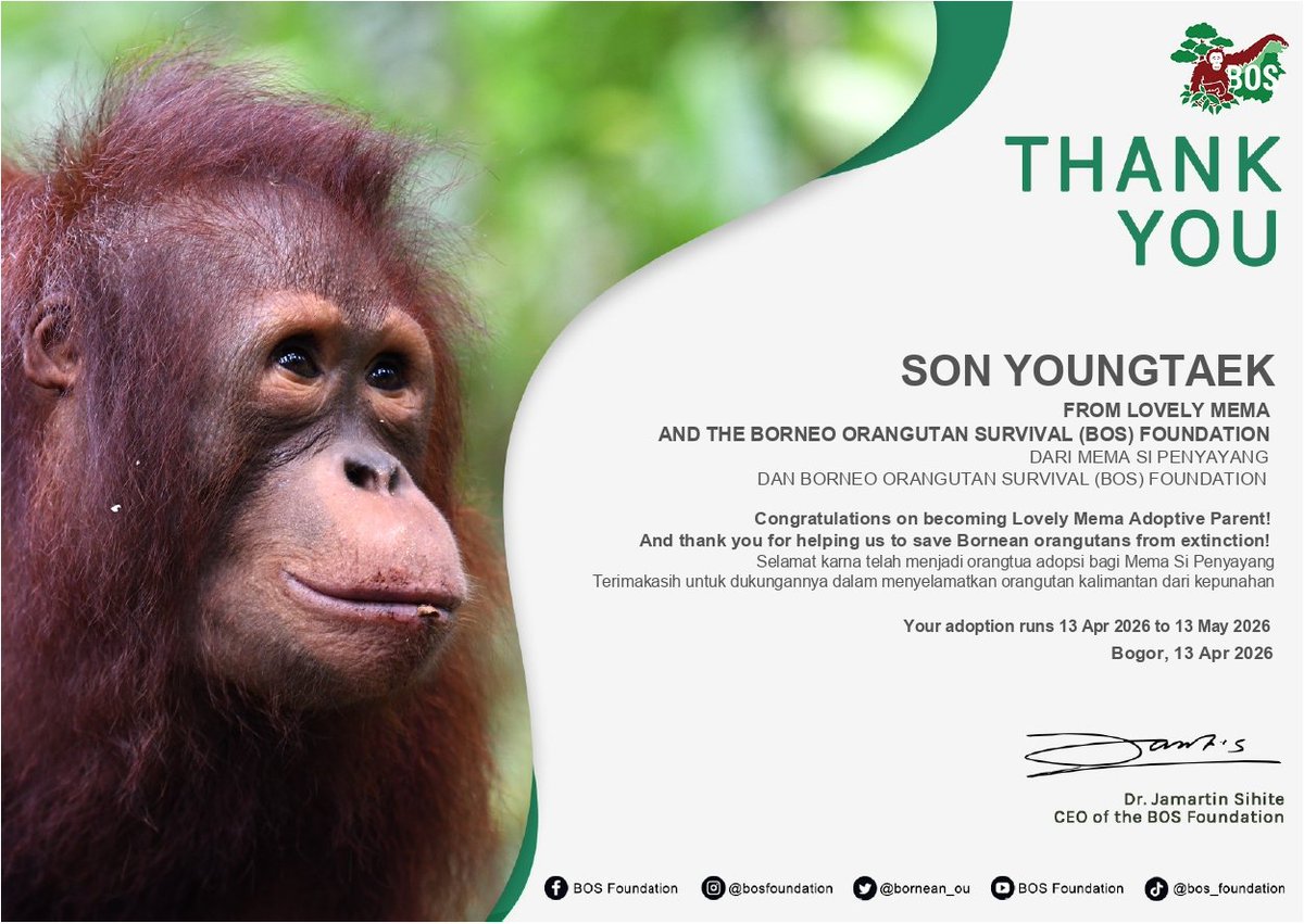 🇮🇩 GOLDENNESS INA tweet media