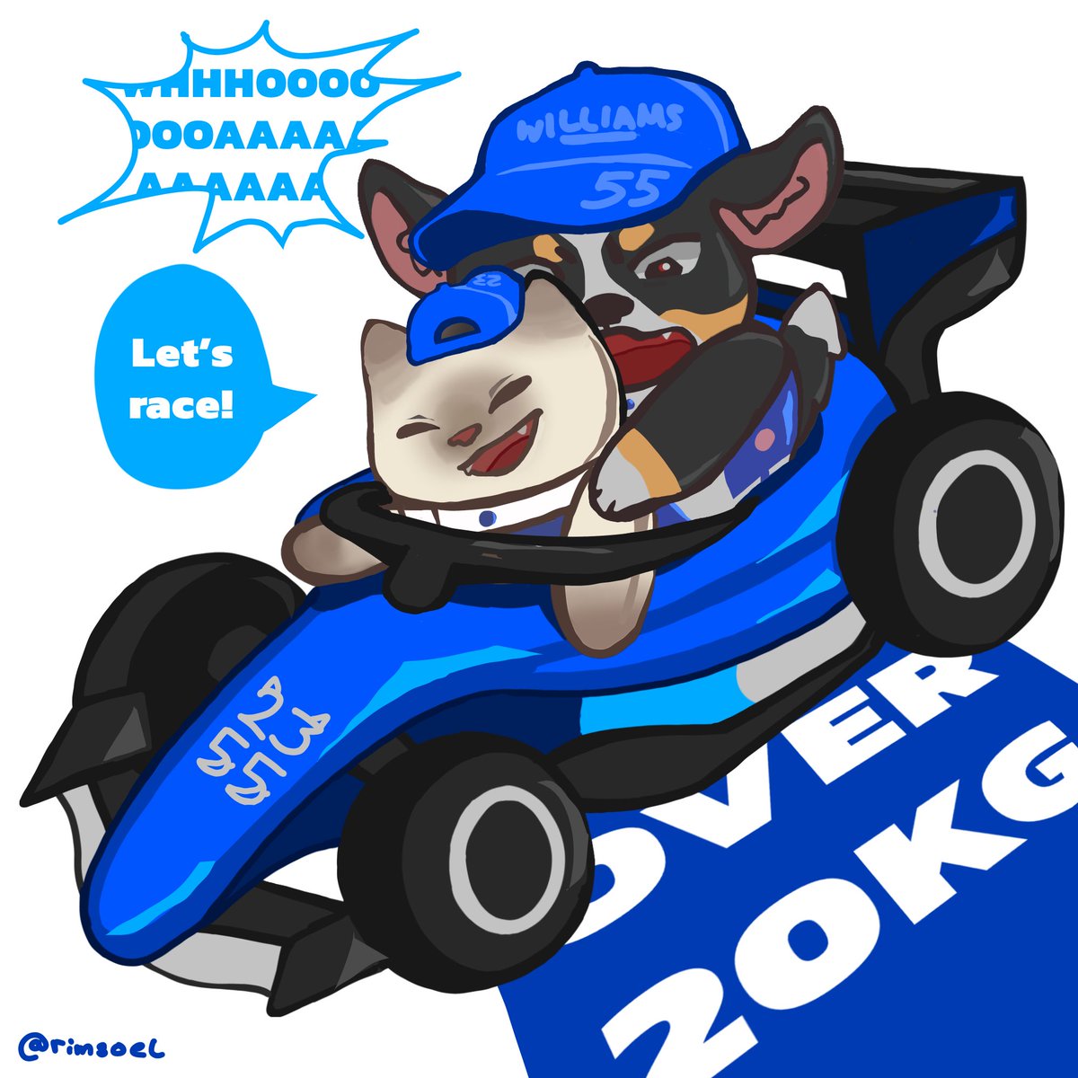 chengfu 🦝 tweet media