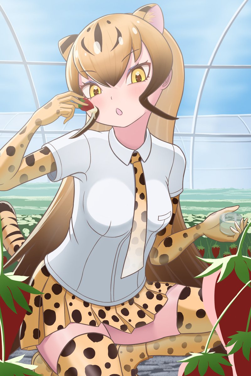 ぶちのすけ tweet media