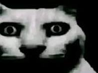 Viktor Faust tweet media