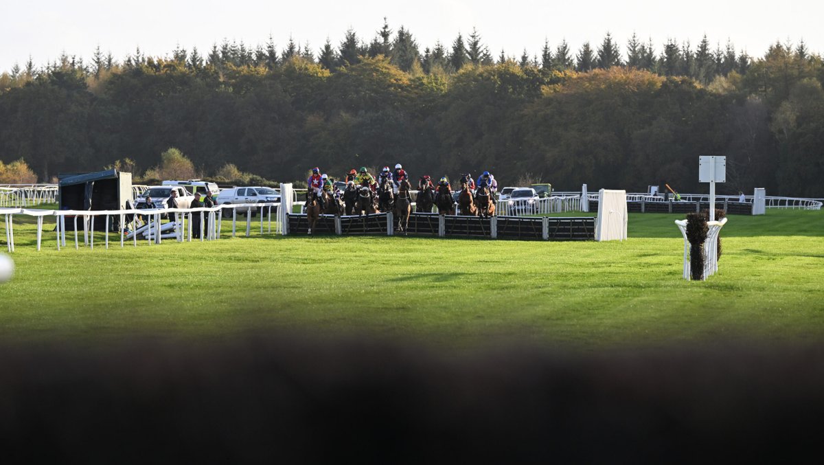 British Horseracing Authority tweet media