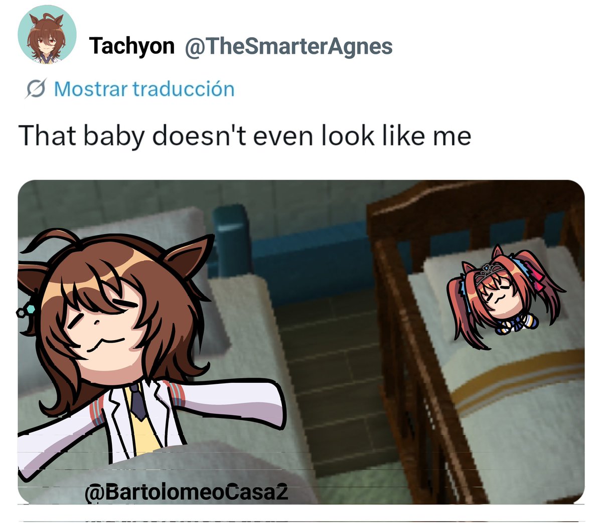 Bartolomeo Casas tweet media