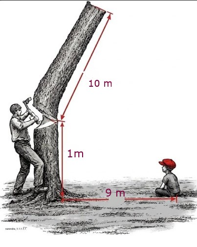 Acertijos y puzzles tweet media