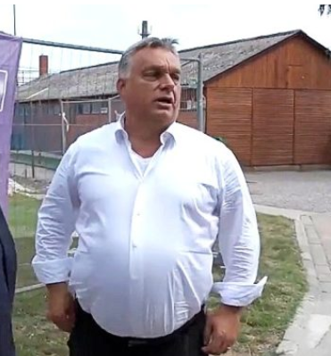 Leonardo Dorini tweet media