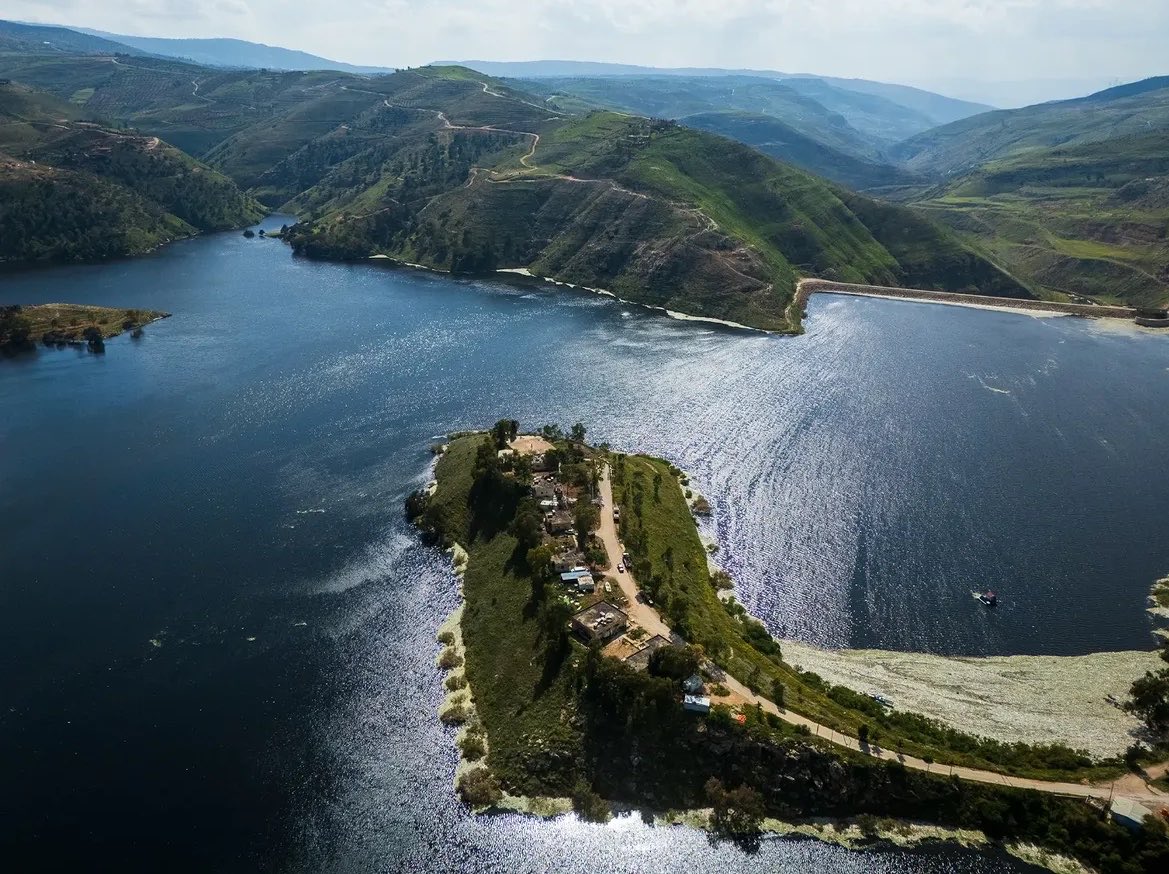 الشيخة مارسيل | M A R C E L tweet media