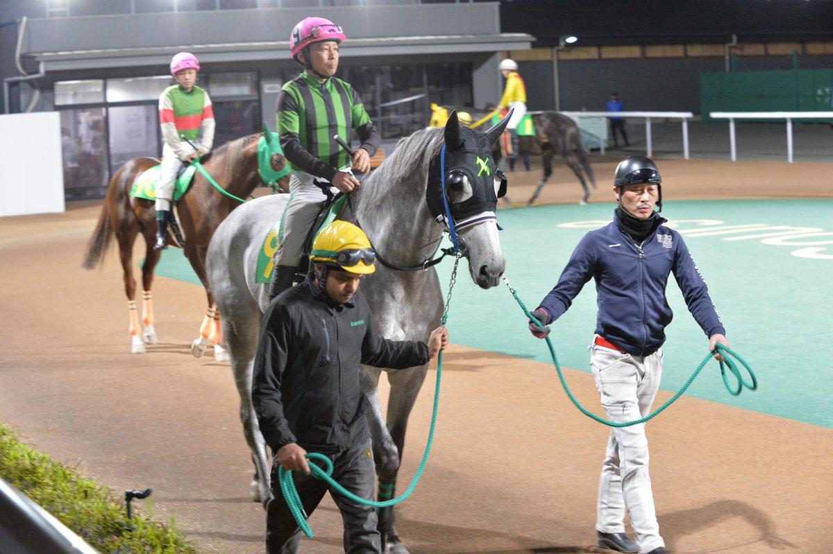 エレ(「1日1らき」投稿中) tweet media