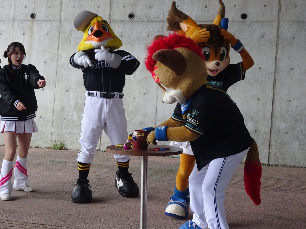 龍星丸龍哉 tweet media