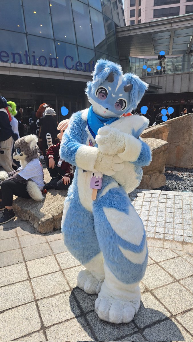 피코 / 파코,에코 🔜 playx4 tweet media