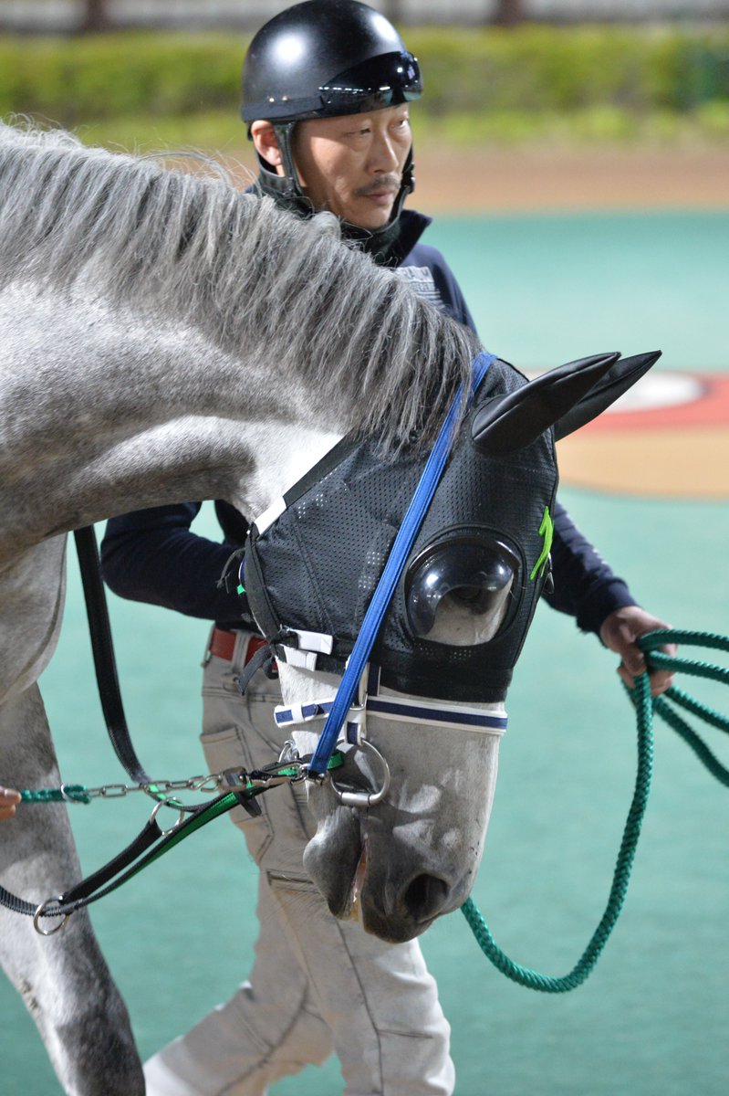 エレ(「1日1らき」投稿中) tweet media