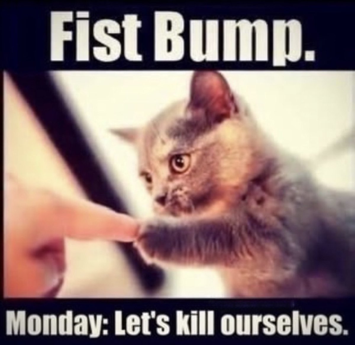 sackboy daily tweet media