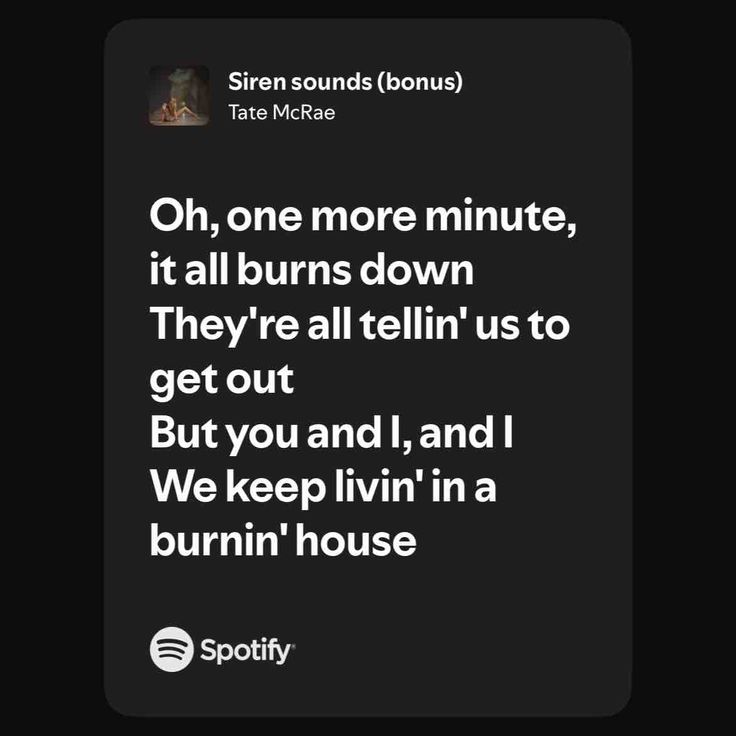 🥠Nova tweet media