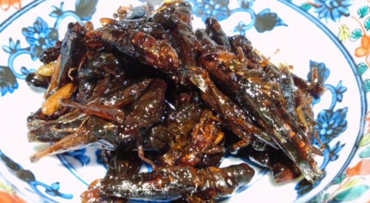 日本ではバッタを食べるの！？

って海外の人が驚いてるけど、
はい食べます。
一部の人ですけど。

バッタじゃなくて、イナゴをね。
蜂の子も食べます。

基本は佃煮。
甘辛く、醤油や砂糖でよく煮たら、だいたいのものは食べられるんです。

…見た目を気にしなければ。