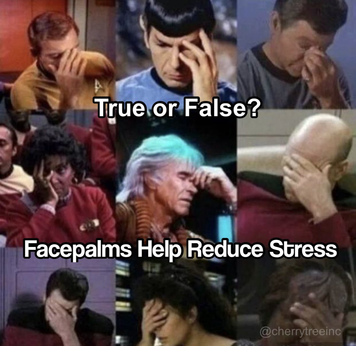 CherryTree Inc. tweet media