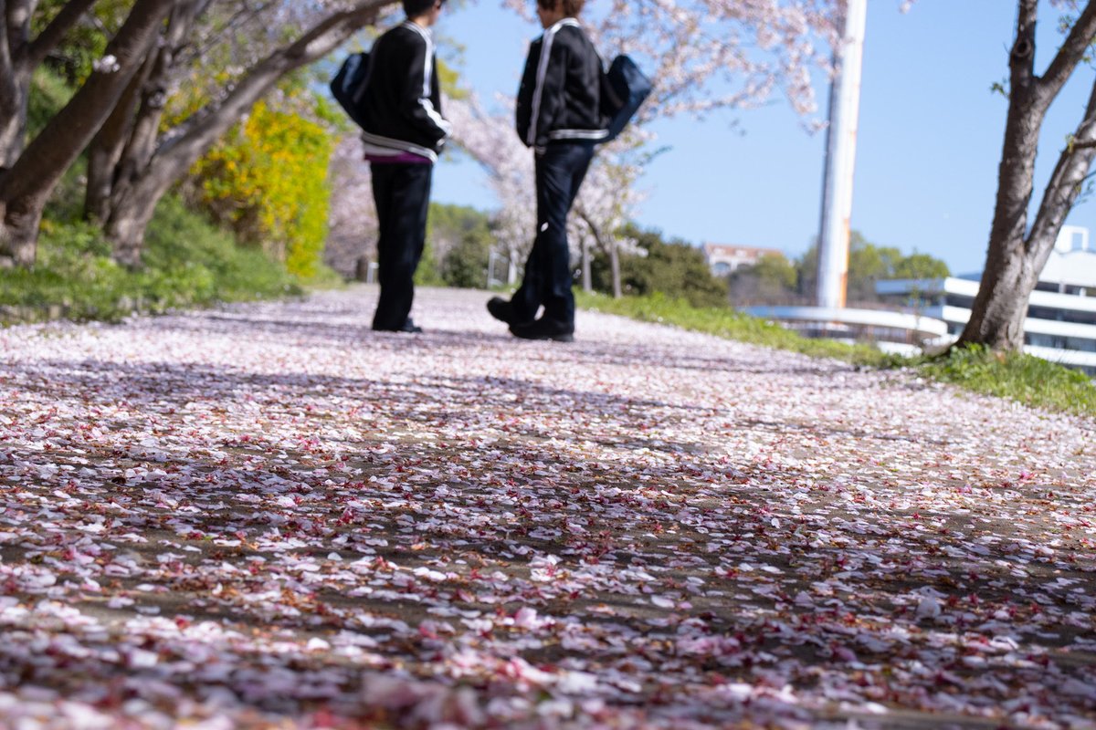 うたかた tweet media