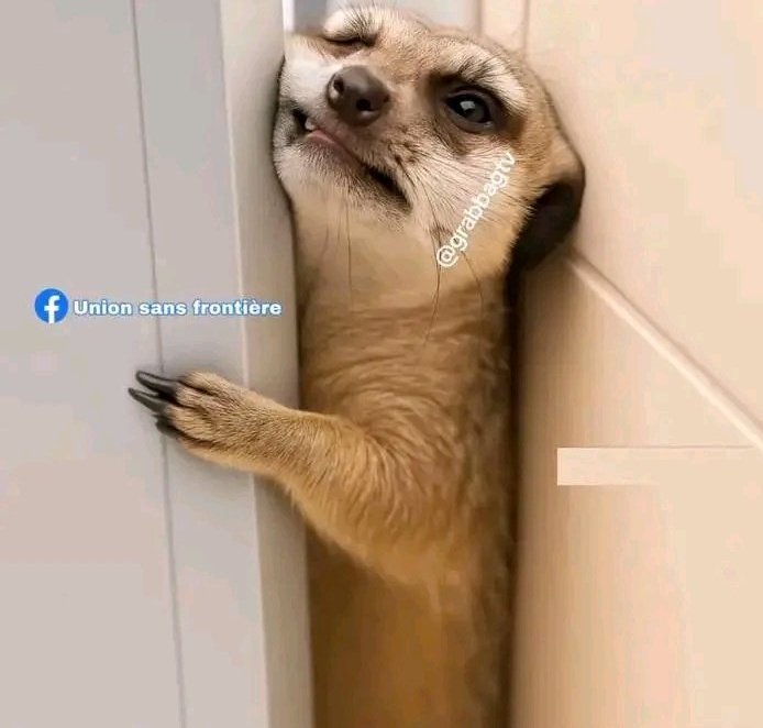 🙏GOD🙏BLESS🙏ME🙏 🐘TOU9🐘 tweet media