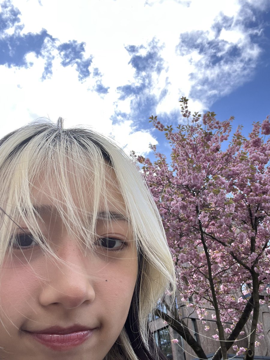 hannahhbbahng's tweet image. i am here manchester…