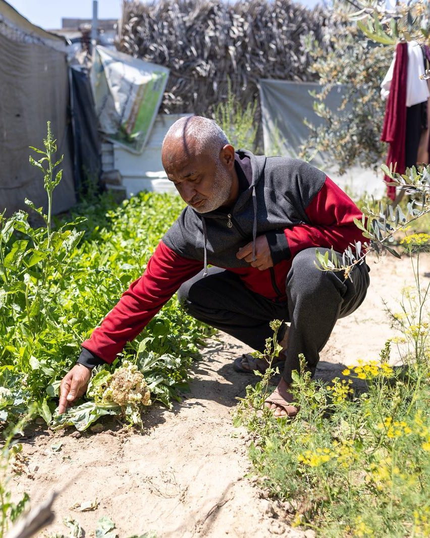 World Central Kitchen tweet media