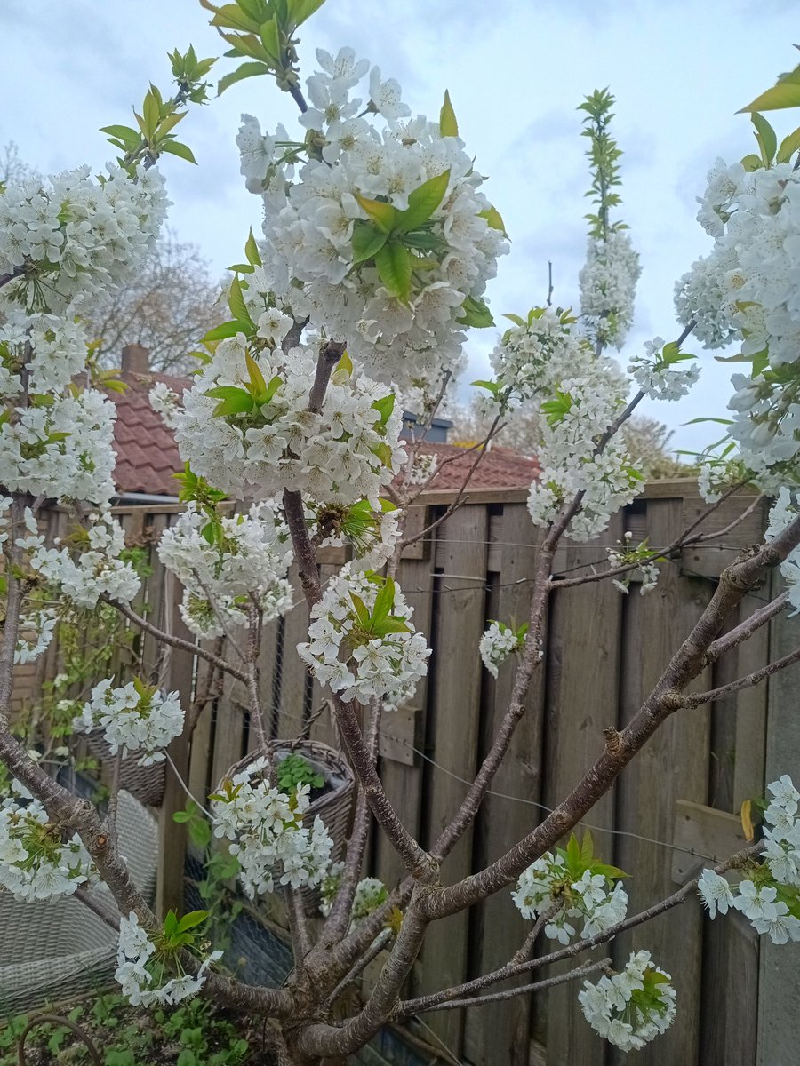 SmokerJoe tweet media