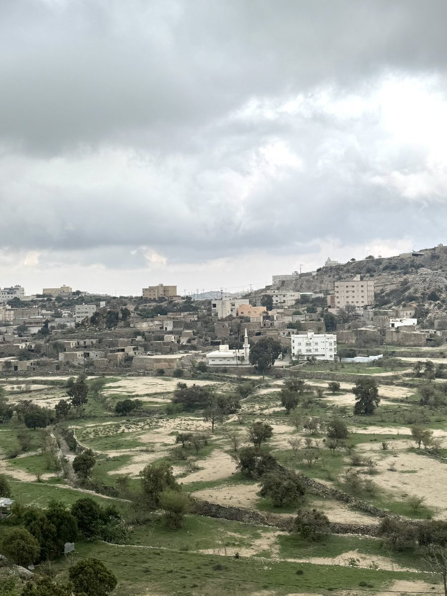 علي بن محمد بن عثمان (نجم سهيل ) tweet media