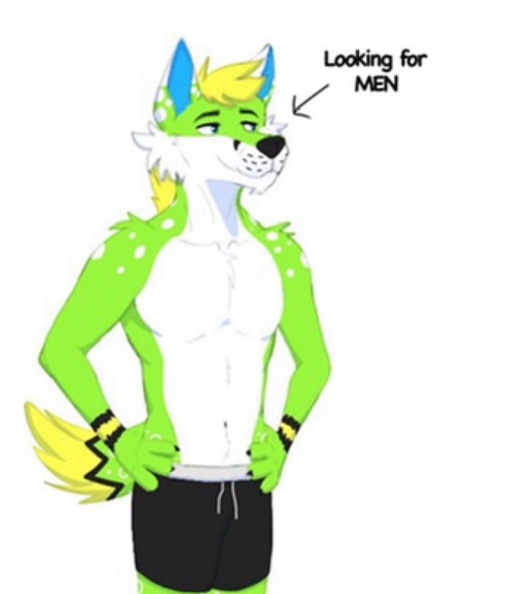 The Sprite Collector™️ tweet media