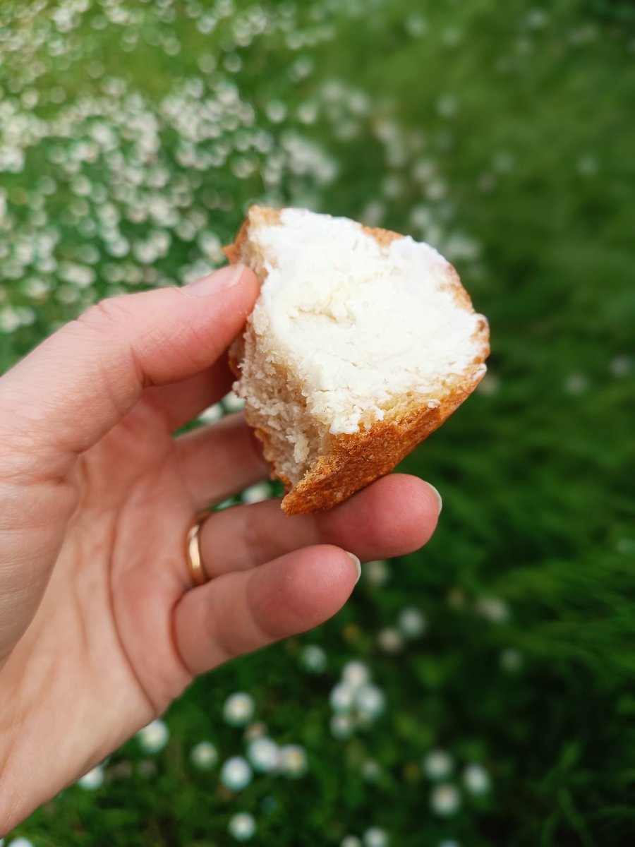 ToninelliClara's tweet image. Burro fatto in casa, su pane caldo fatto in casa.
Erba, vento e margheritine, fuori campo ☘️

#happiness #april #springmood