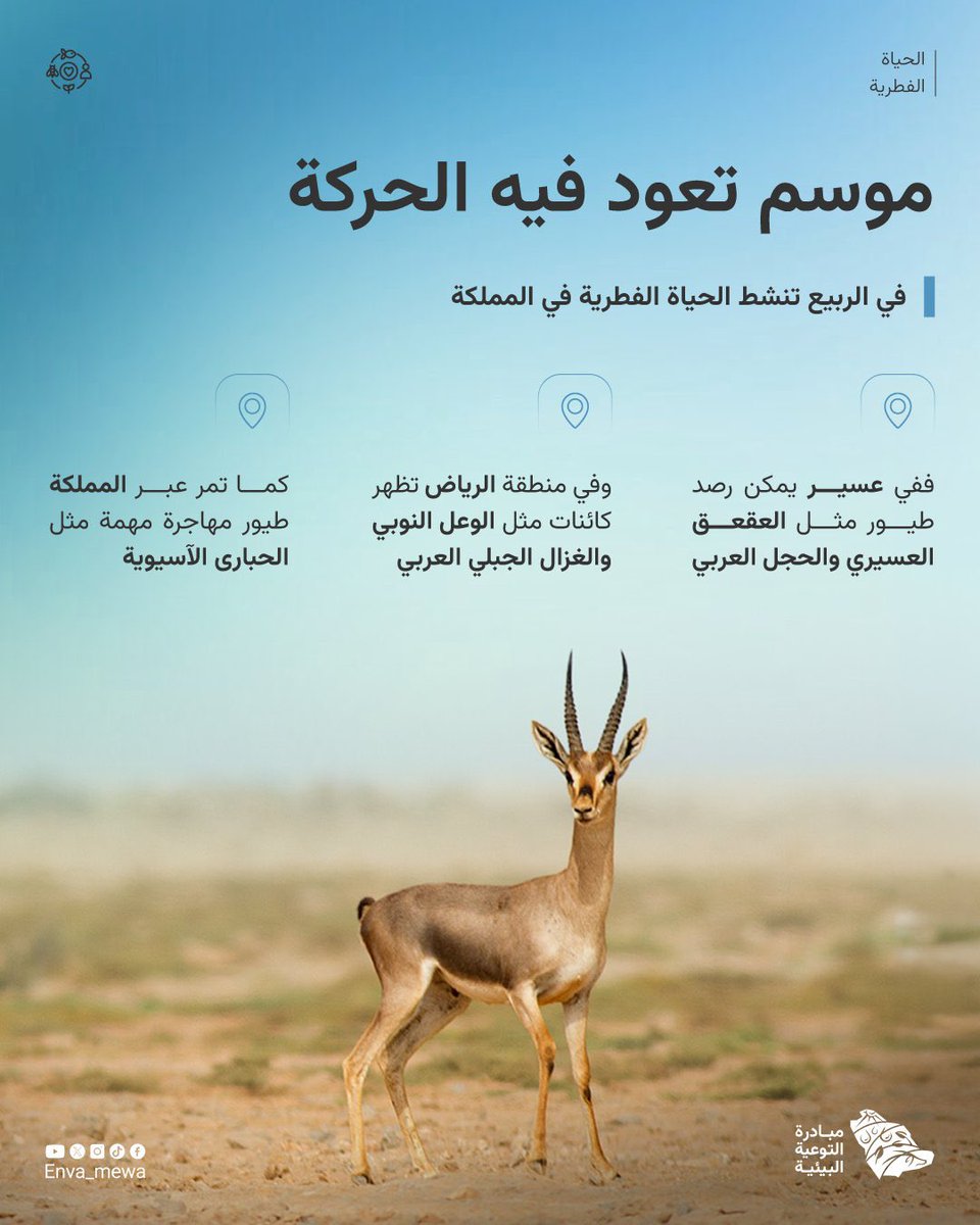 الربيع موسم تزداد فيه حيوية الطبيعية
مسؤوليتنا أكبر في احترام الموائل الطبيعية وعدم الاضرار بالكائنات