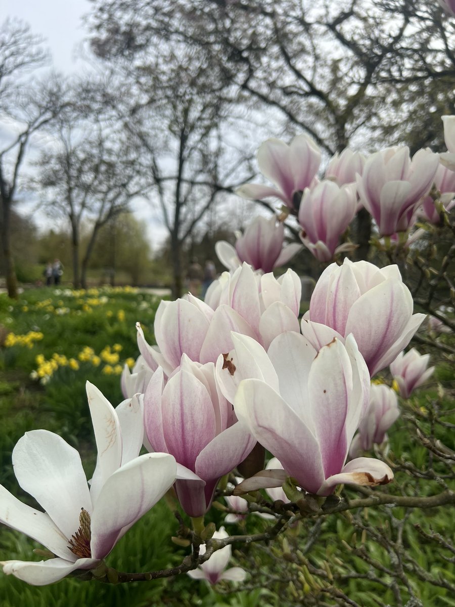 Dang Ngoc Nha | Nancy tweet media