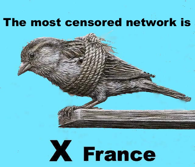 Dr Peter EL BAZE tweet media