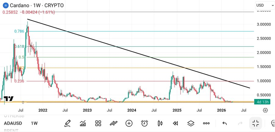 Spidex AI tweet media