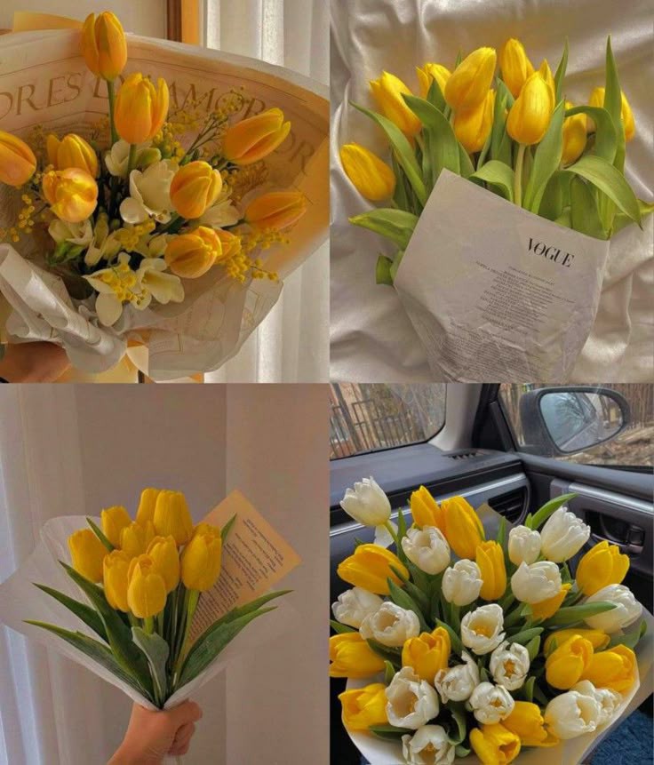 Only Tulips tweet media