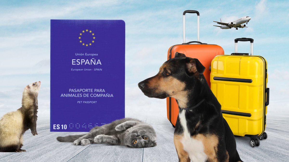 Comisión Europea en España tweet media