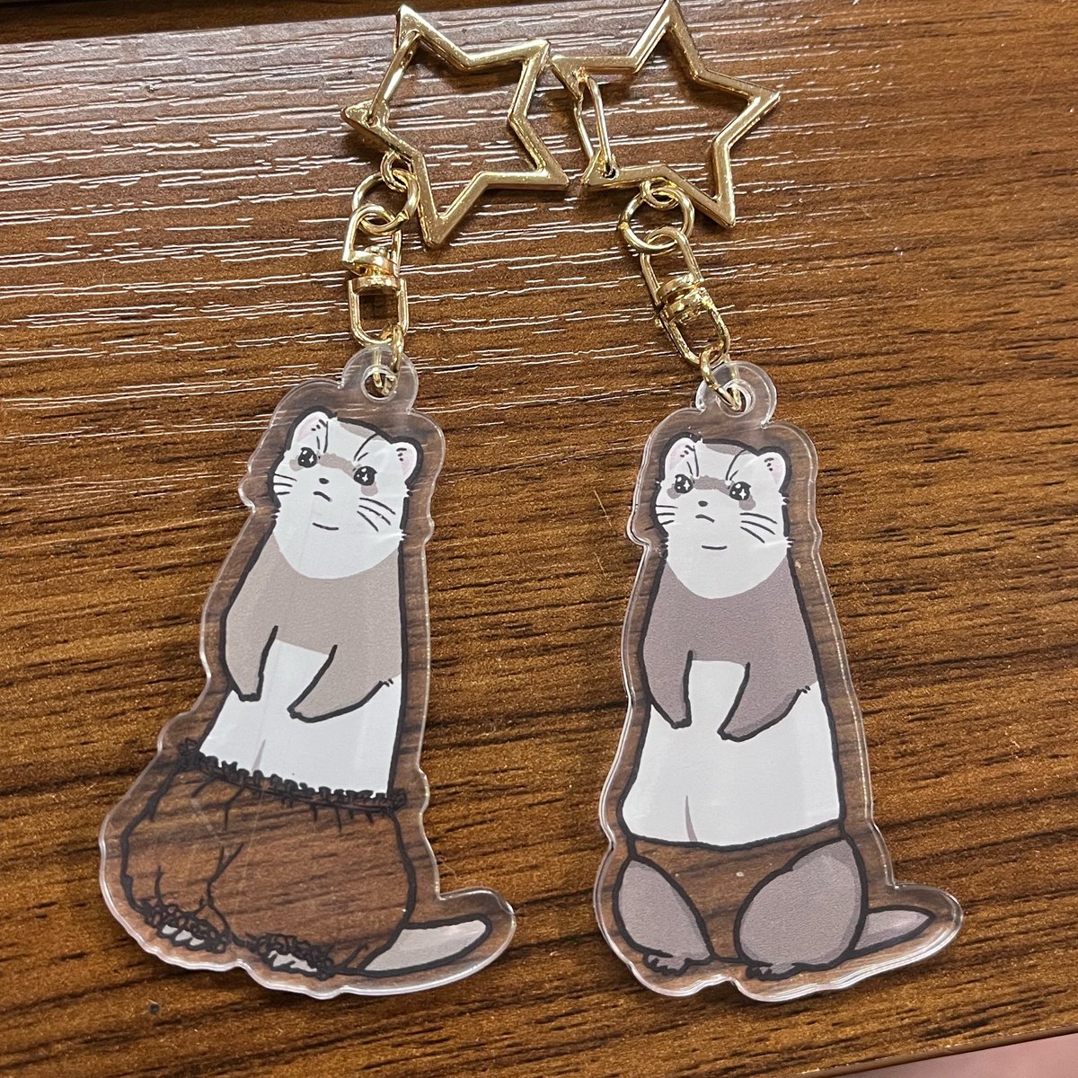 かな@5/10アニマルEXPO2026【Chubby Ferret】 tweet media