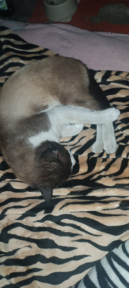 sad michi 🏴 tweet media