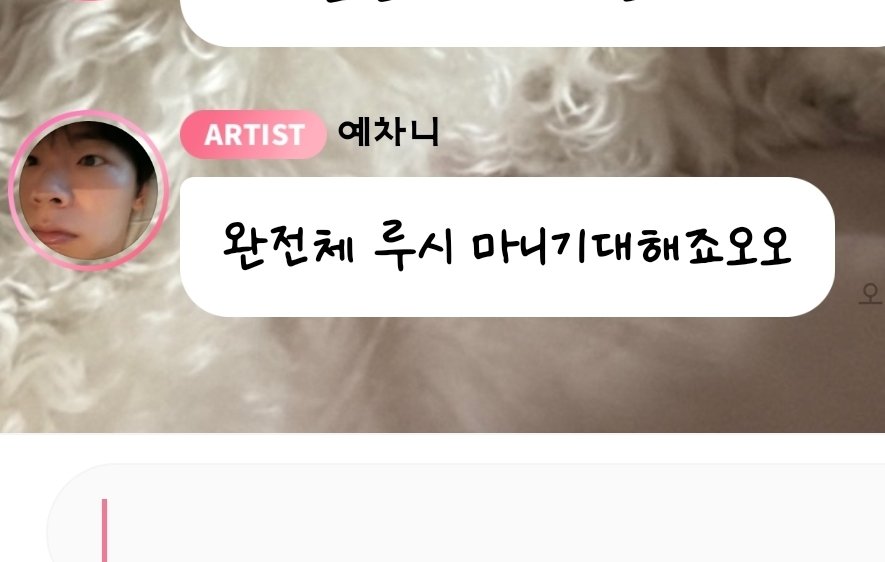 옌ྀི✧·˚ tweet media