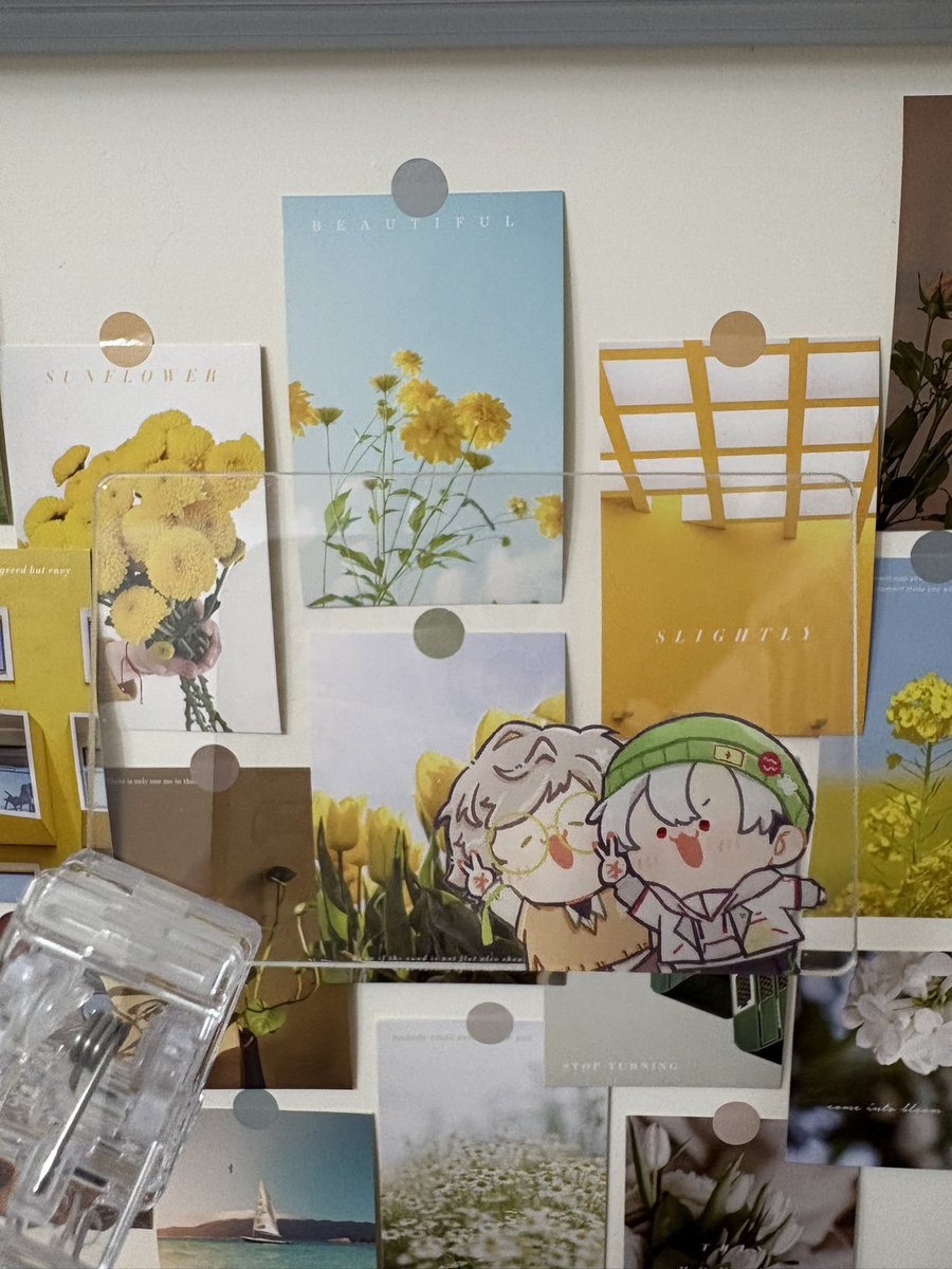 NN🦑💛布穀首日N20 tweet media