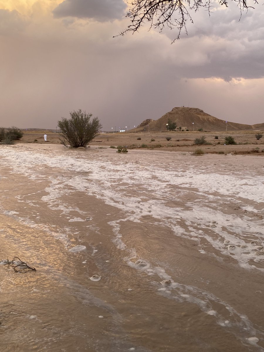 ابوعبدالله الفيصل 70 tweet media