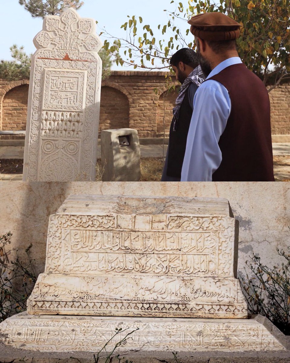 TVO Docs tweet media