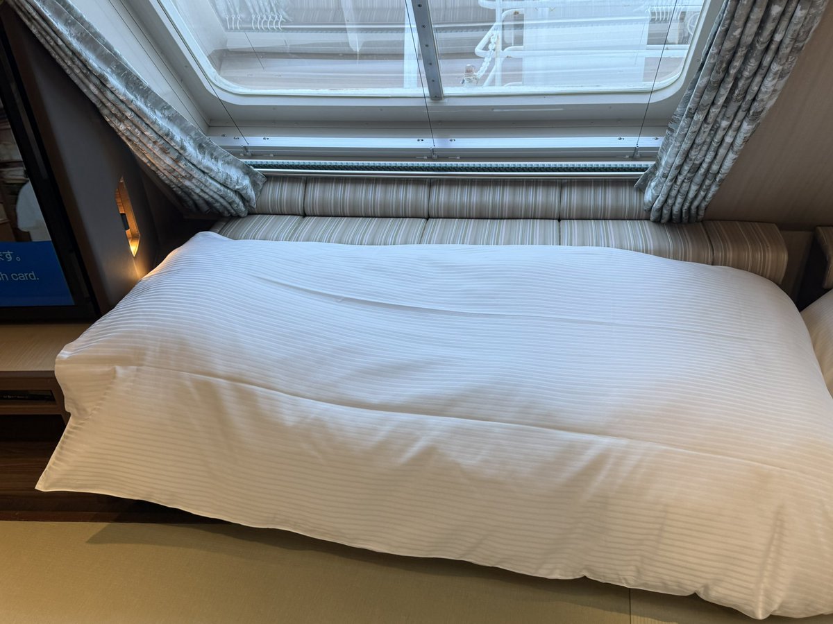 たぬきねこ tweet media