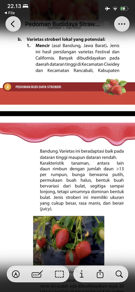 GN Aardbeien tweet media