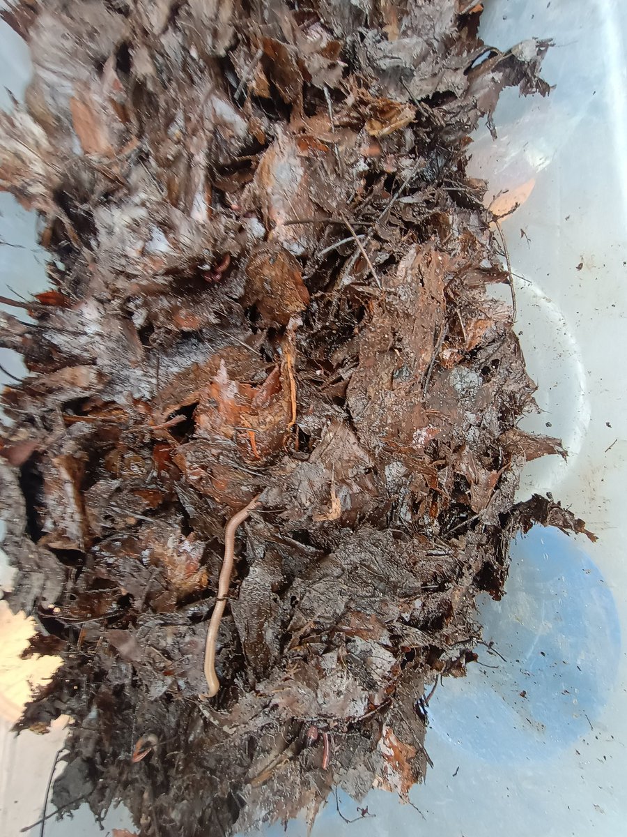 SmokerJoe tweet media