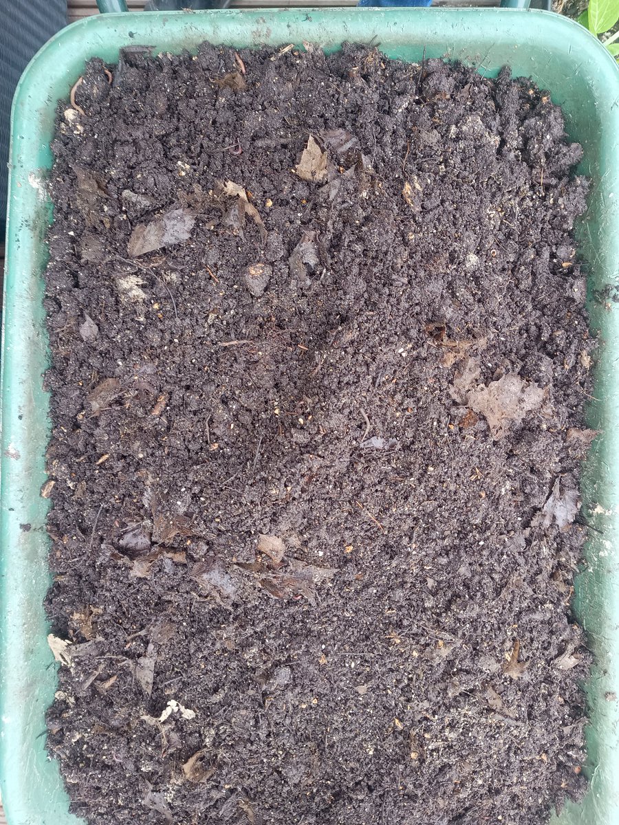 SmokerJoe tweet media