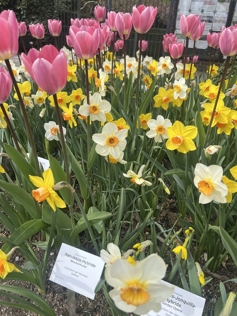 Dang Ngoc Nha | Nancy tweet media