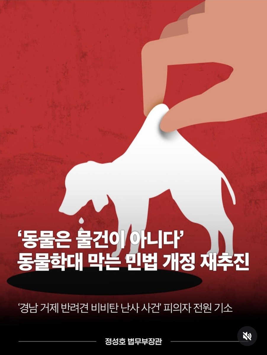 플루토11호 tweet media