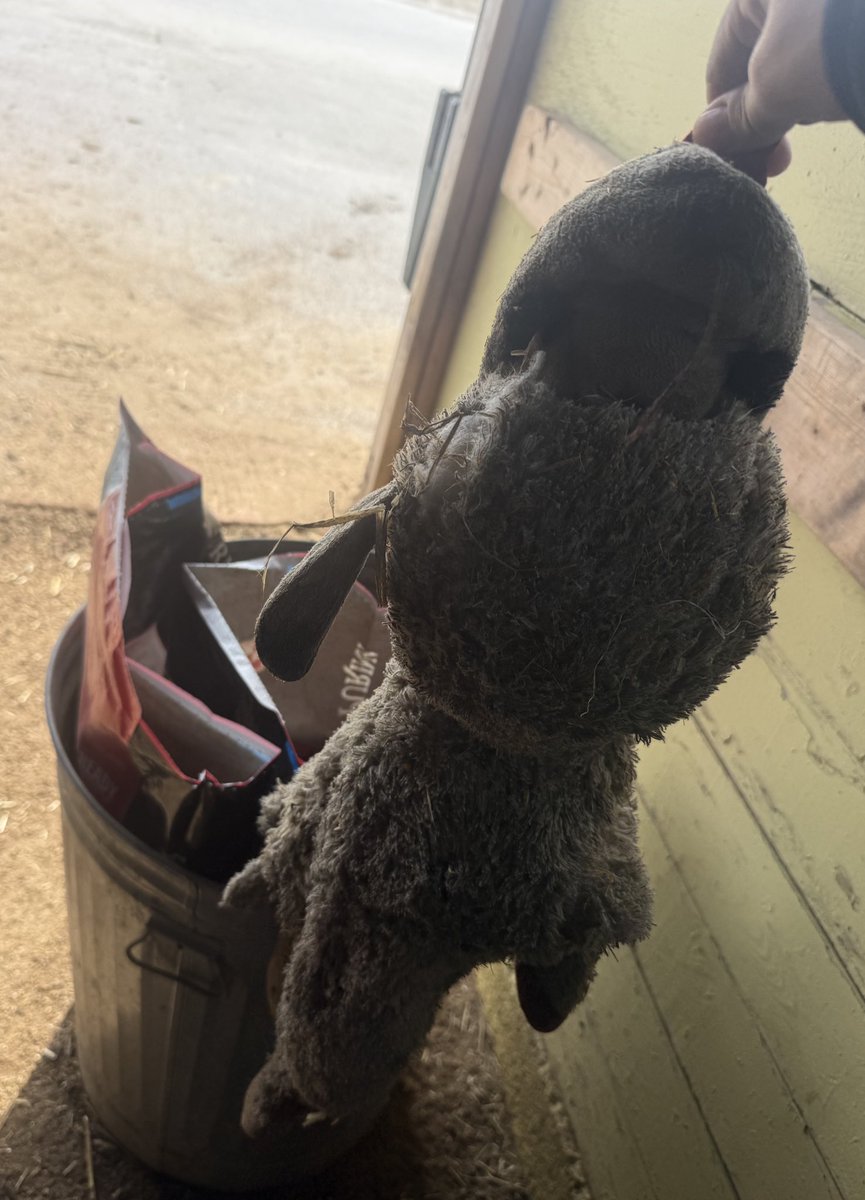 Adrianne DeVaux tweet media