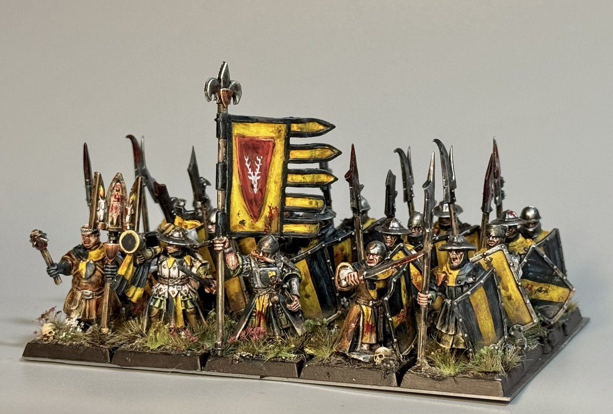 The front ranks of my Men-At-Arm also report for duty! Best place to be, when the enemy cavalry charges 😅

#miniaturemonday #paintingwarhammer #warhammer #paintingwarhammer #bretonia